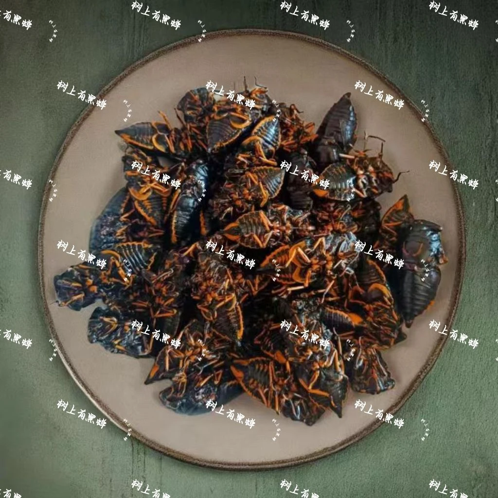 2025山东本地新鲜黑蝉黑知了猴爬叉节流鬼冷冻鲜活冷链肉质