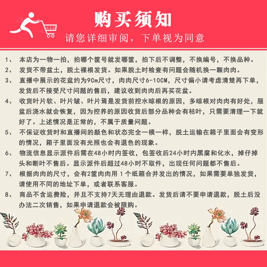20号165-169多肉脱土发货-请阅读主图购买须知及商品详情页内容