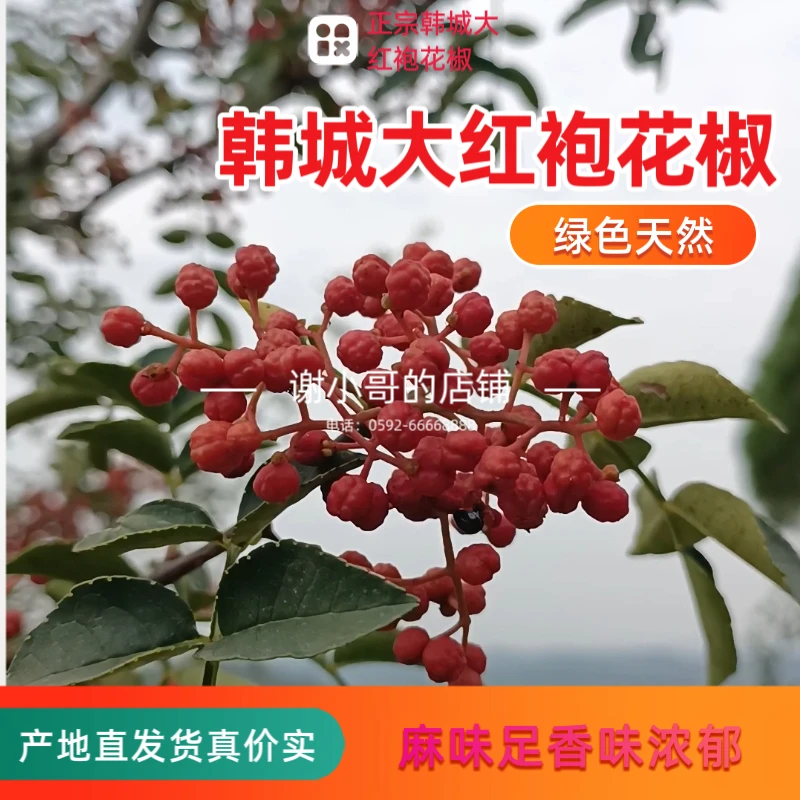 陕西韩城大红袍花椒100/250/500克麻味足高品质红花椒粒产地直发