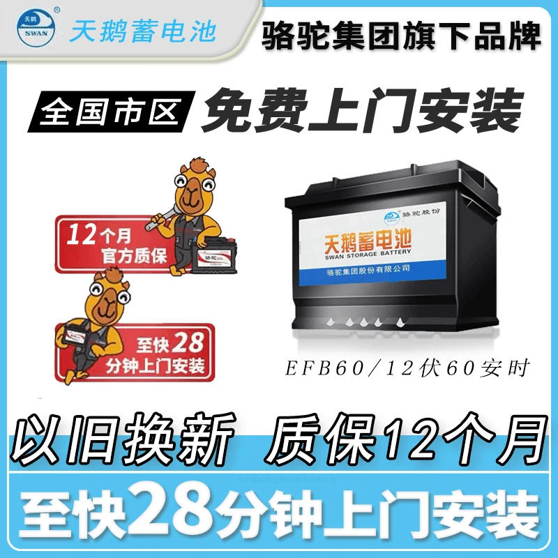 骆驼旗下天鹅启停电瓶EFB-60 12V60AH 雅阁思域哈佛H6/F7朗逸宝来