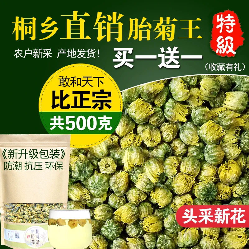 【小扬哥甄选】菊花茶桐乡胎菊王头采特级正宗杭白菊贡菊花茶500g