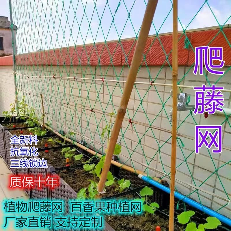 植物爬藤网园艺网百香果爬藤网丝瓜苦瓜吊瓜葡萄瓜萎攀爬网搭架网