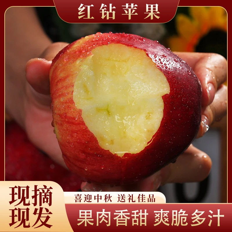 【中秋献礼】红钻苹果当季新鲜水果脆甜多汁精选美味苹果2.7斤起