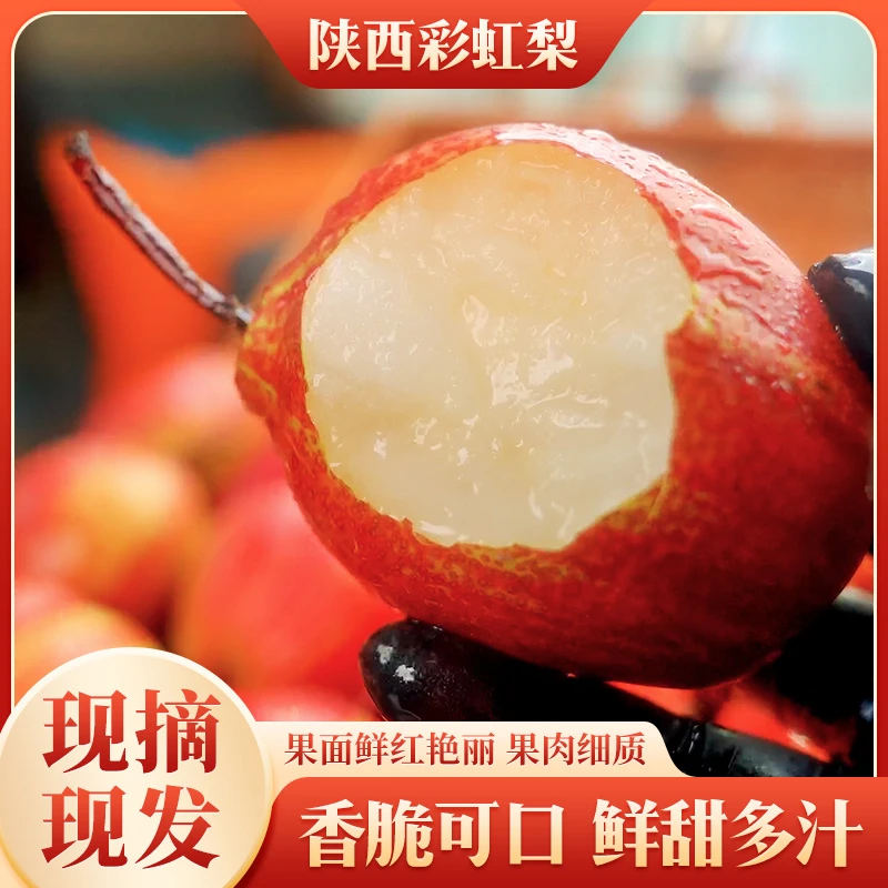 彩虹梨新鲜酥香梨子脆甜多汁现摘新鲜水果红香蜜梨产地直发5斤起