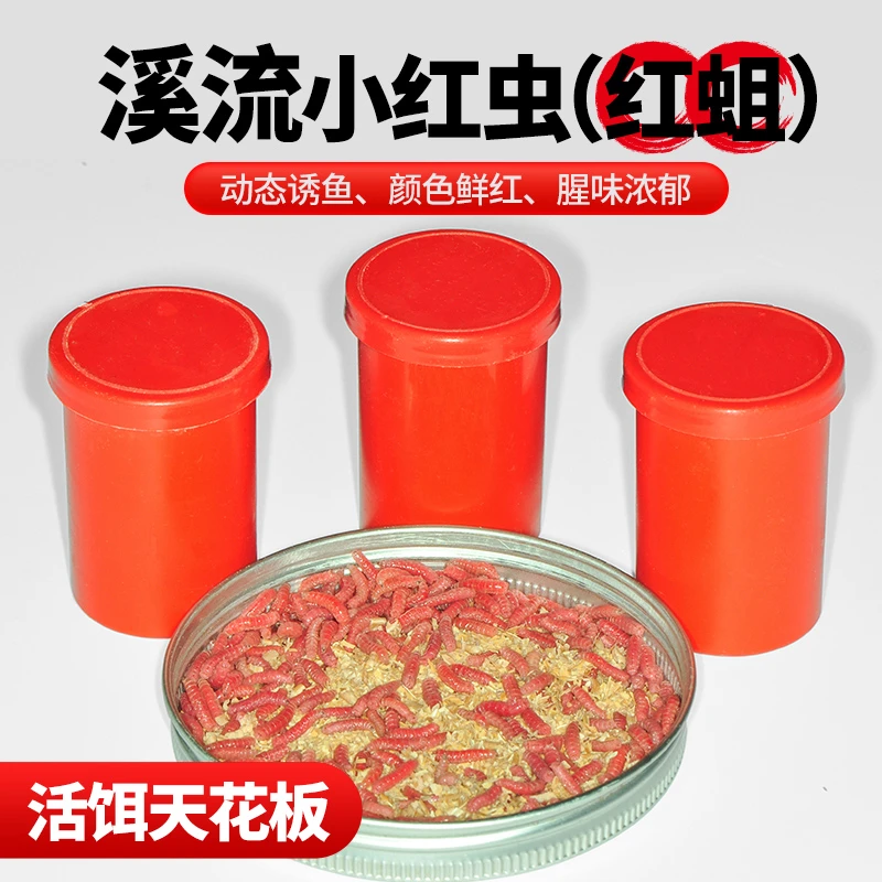 渔丰八方溪流小个体红虫(红蛆)饵动态诱鱼腥味浓郁溪流钓虫饵