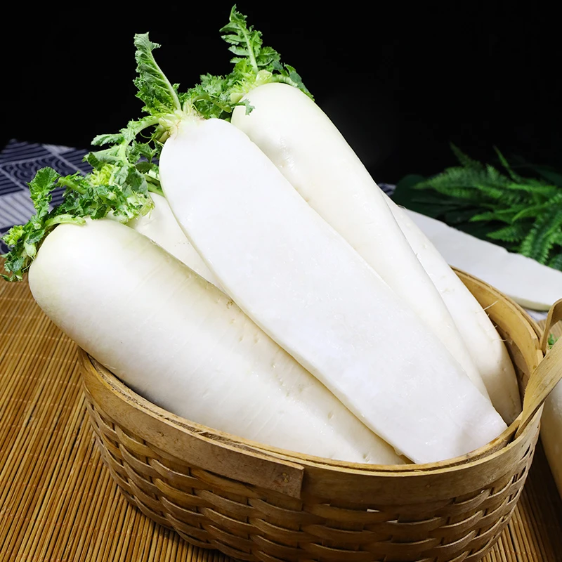 三峡高山新鲜白萝卜现挖农家露天蔬菜脆嫩泡菜炖肉萝卜5斤整箱
