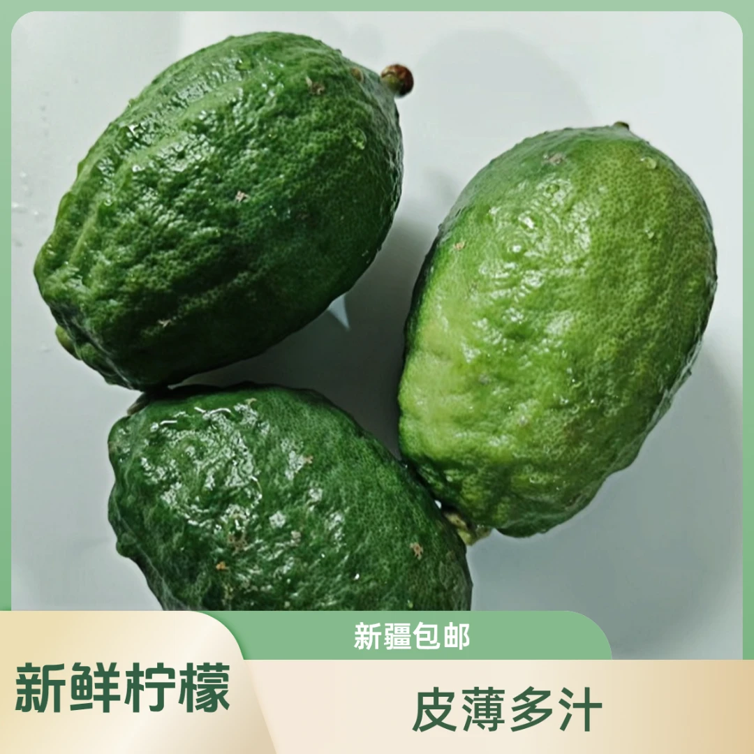 【乌鲁木齐发货】精品广州香水柠檬新鲜爆汁柠檬奶茶专用新疆包邮