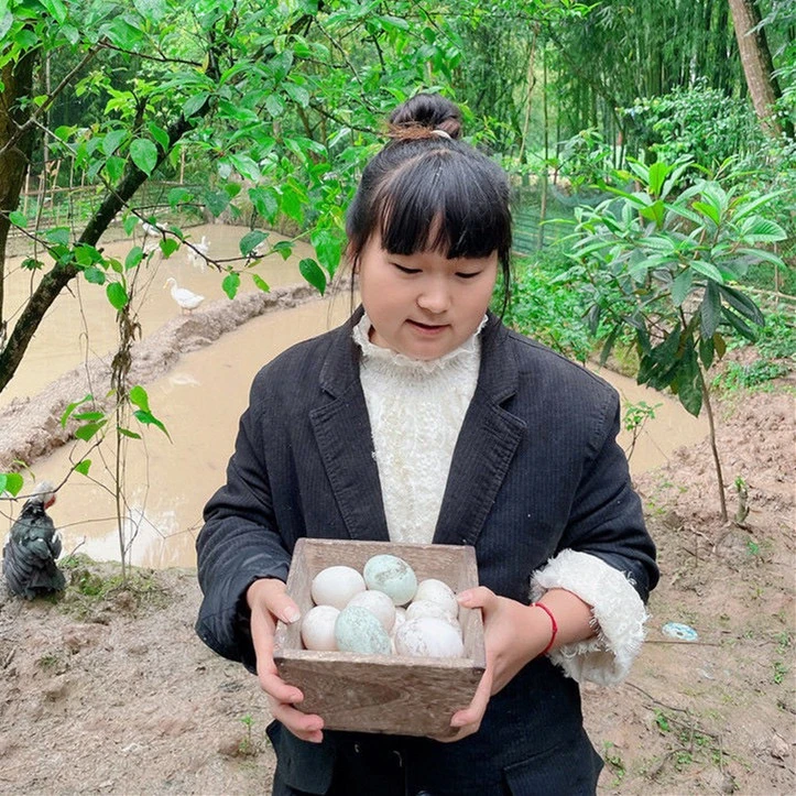 【有坏包赔】重庆本地鸭蛋农家粮食喂养20枚30枚农户自养新鲜鸭蛋