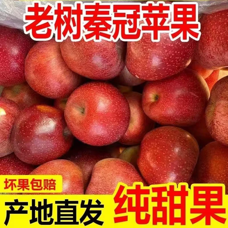 W陕西高原秦冠脆甜粉两吃苹果应季新鲜水果带箱5-10斤