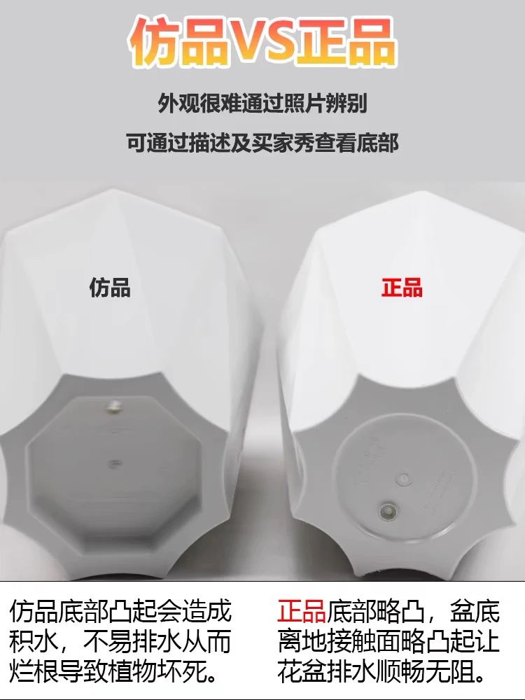 直播间同款白色砖石盆