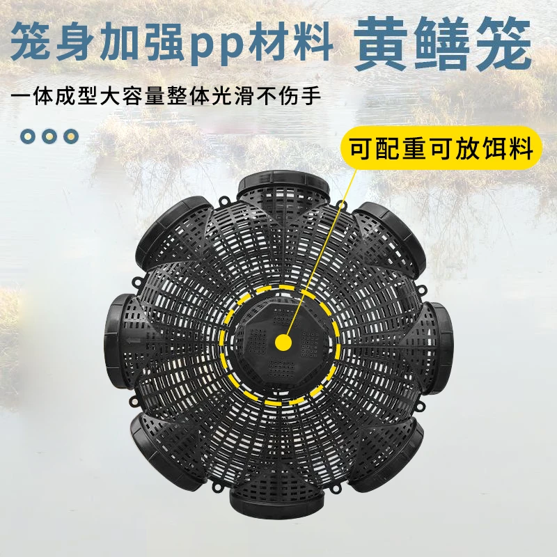 带配重饵料盒加厚抓黄鳝专用笼泥鳅笼鱼虾笼子塑料倒须8+2黄鳝笼