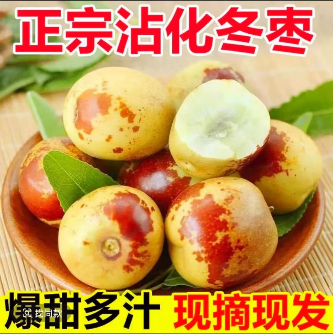 正宗沾化冬枣新鲜水果枣子大枣应季脆甜鲜枣青枣整箱冰糖枣子