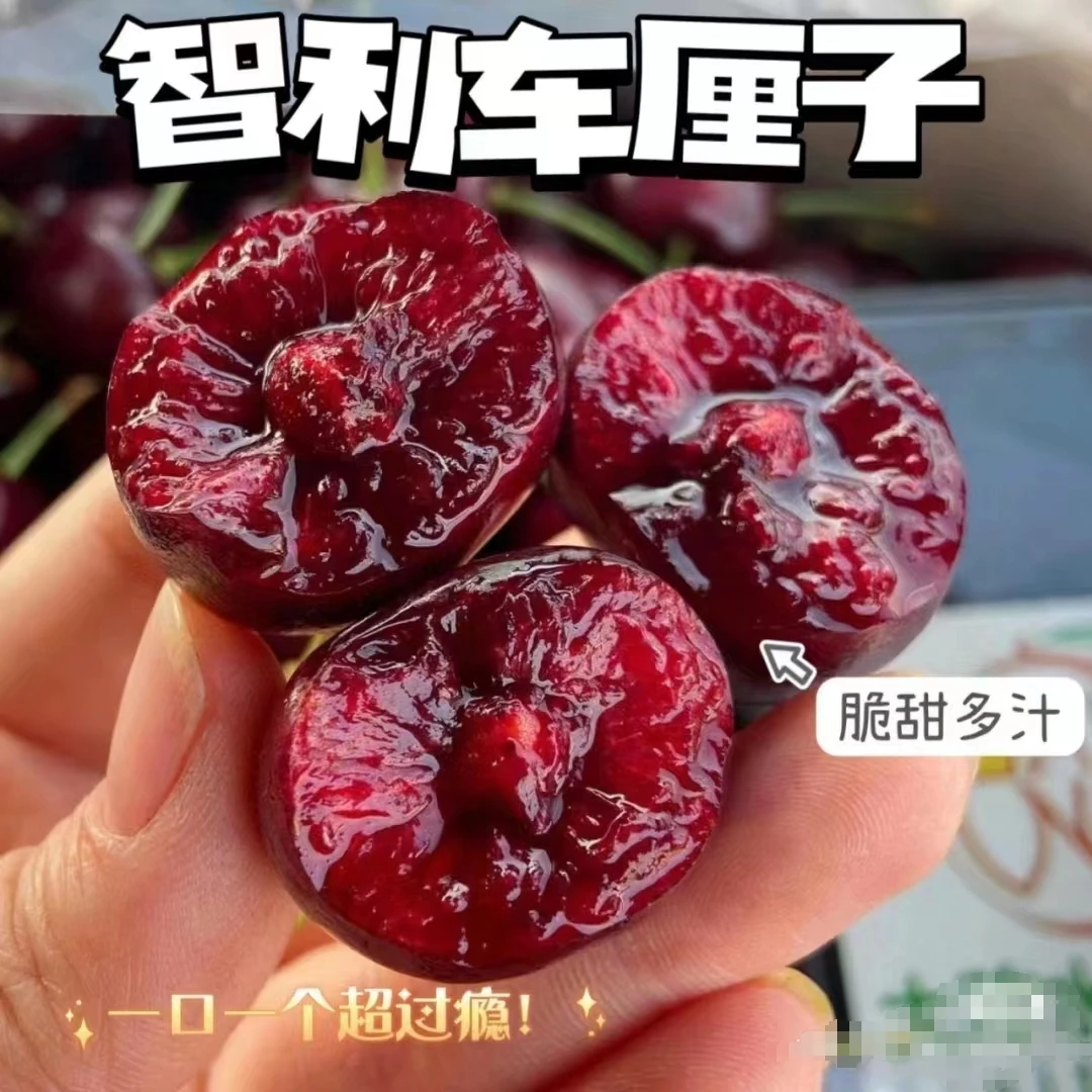 【达吾水果】智利空运桑提娜车厘子坏果包赔4jD/5斤