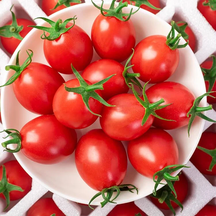 【达吾水果】 冰糖电白千禧果2斤装包邮.