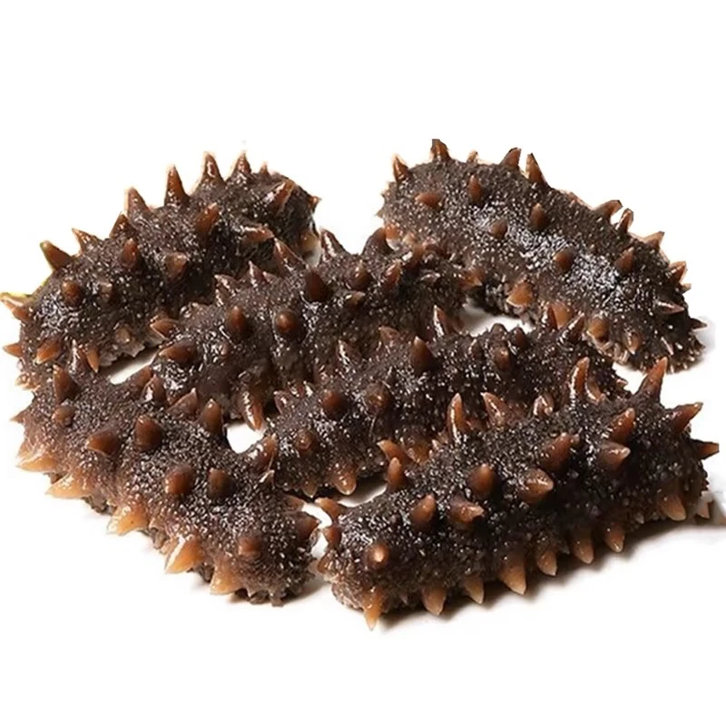 即食海参，大连海参青岛发货沙虫干