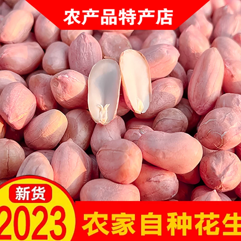 2023年新上市五斤三斤装花生米河南南阳大白沙生新鲜菜农产品一斤