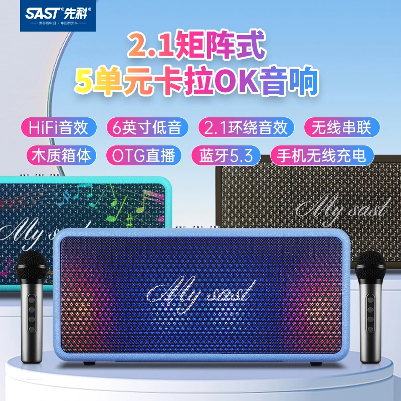 SAST/先科大功率户外家用便携无线蓝牙低音桌面音响低音炮音响