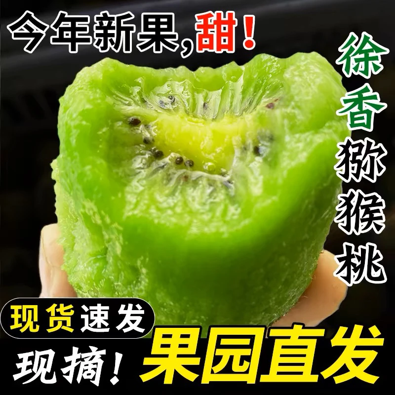 「可以直接吃的猕猴桃」大志爸爸 绿心徐香猕猴桃