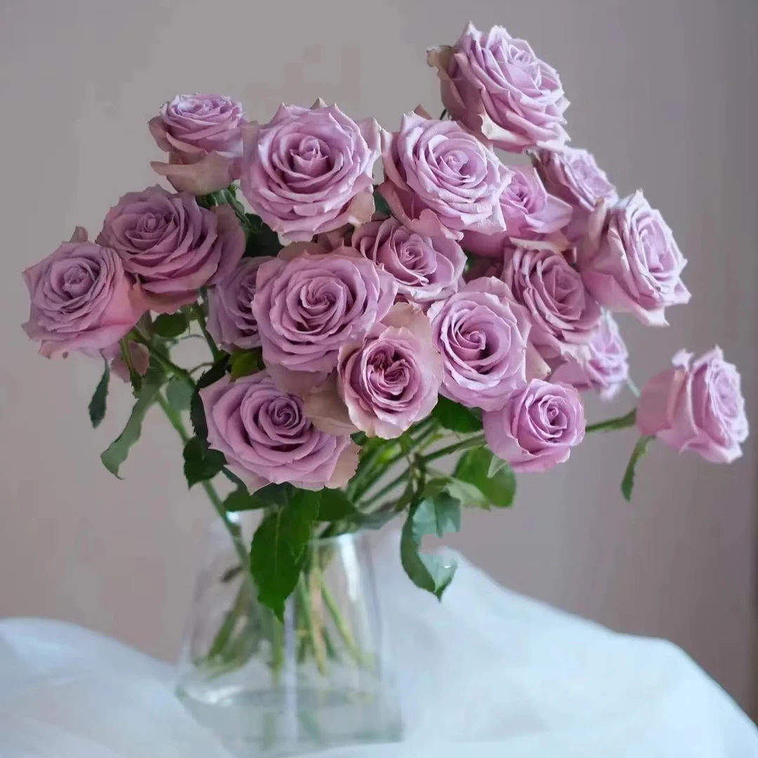 【918】玫瑰鲜花组合  一单中通拍两单发顺丰 已发货不支持退款