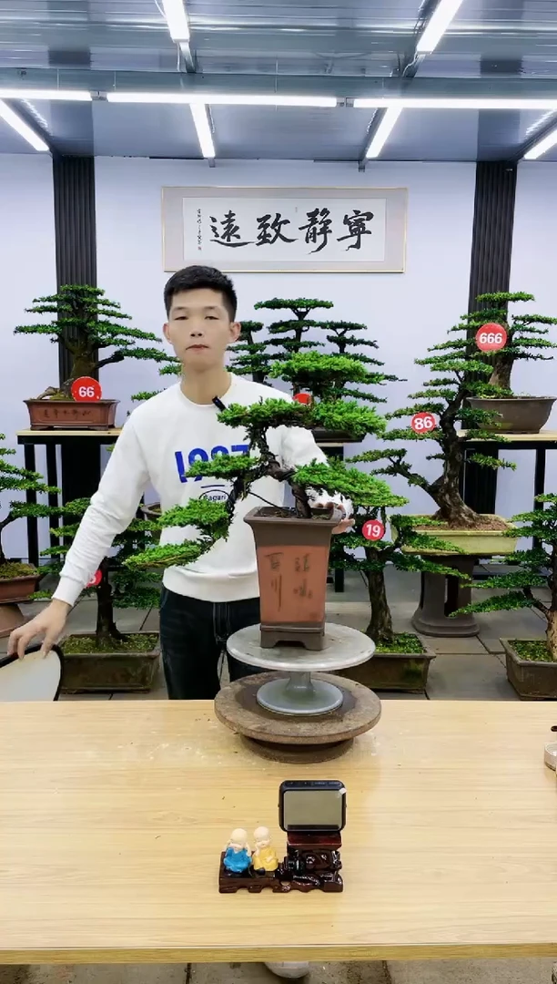 【闪购商品】000000000