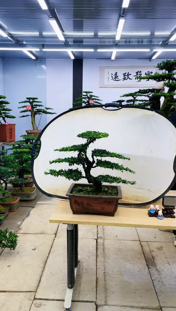 【闪购商品】00000000000