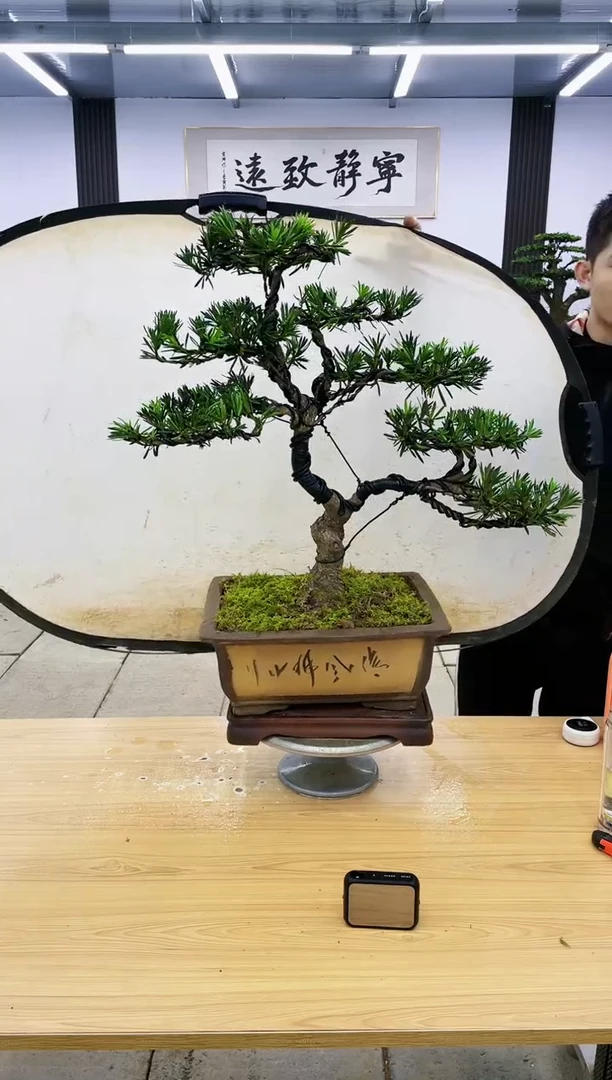 【闪购商品】00000000000000000