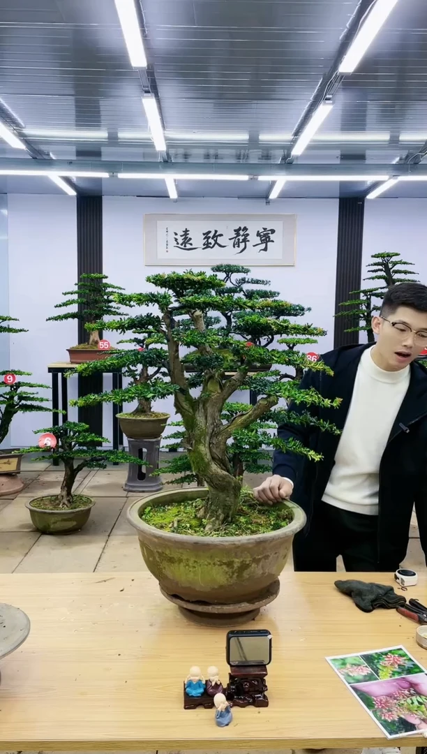 【闪购商品】000000000