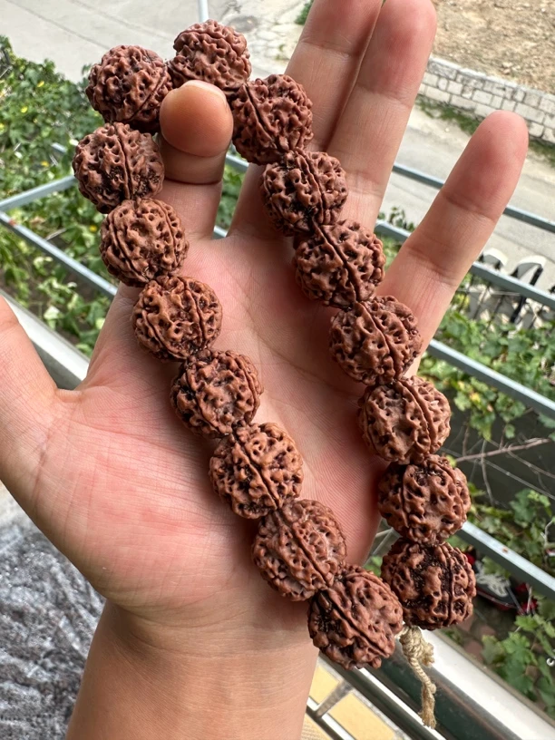 22+mm高桩安娜原生态大金刚