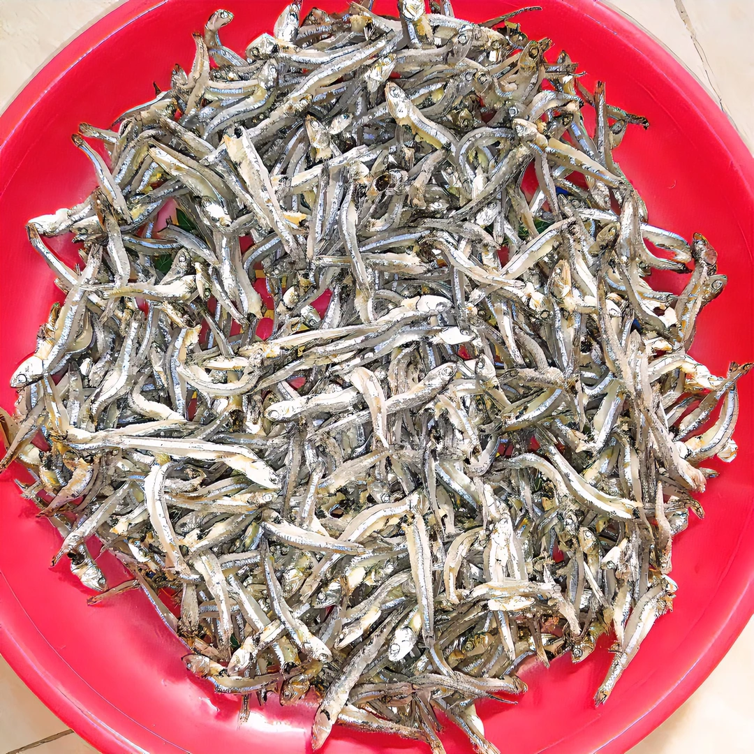 潮汕本地饶仔鱼干海燕鱼干干货小银鱼干品质新鲜肉质卫生小鱼仔干