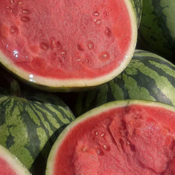 【包甜！包新鲜！】美都麒麟西瓜小果两个（约10斤）！