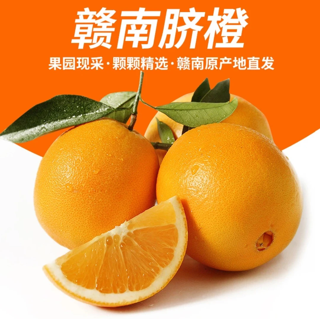 江西赣南脐橙果园直发现摘现发不催熟不泡药水自然成熟