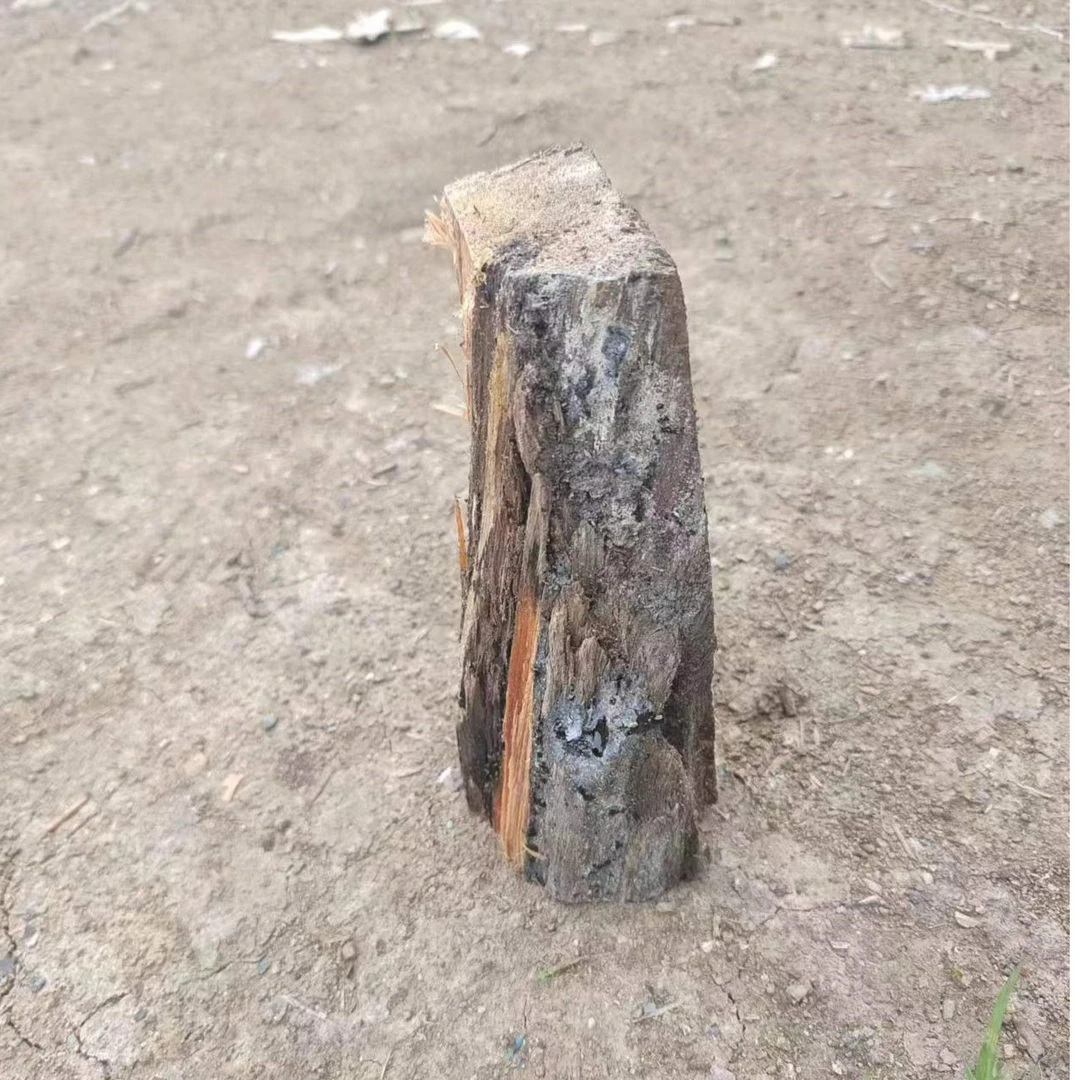 饶河野生雷击木长20宽10公分500克包邮