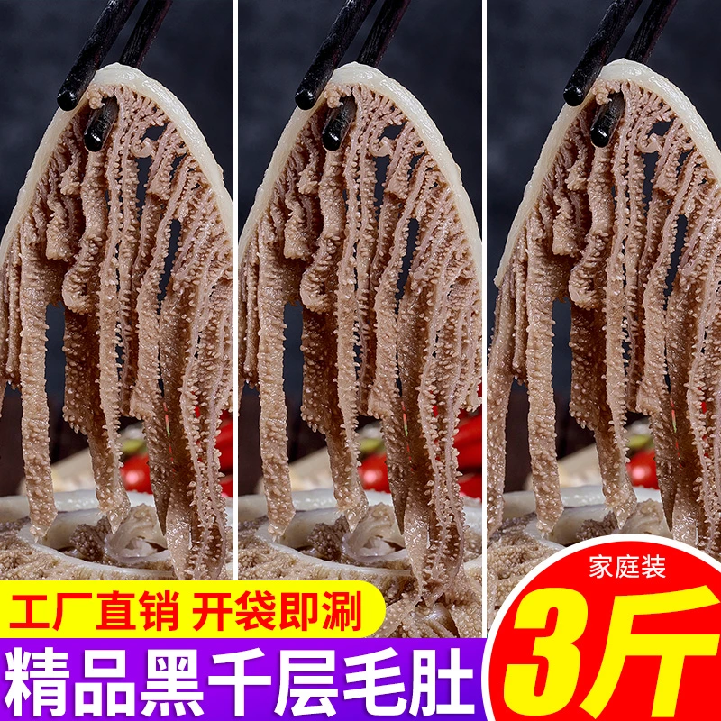 黑千层毛肚火锅食材牛百叶毛肚新鲜黑千层肚3斤火锅串串商用批发