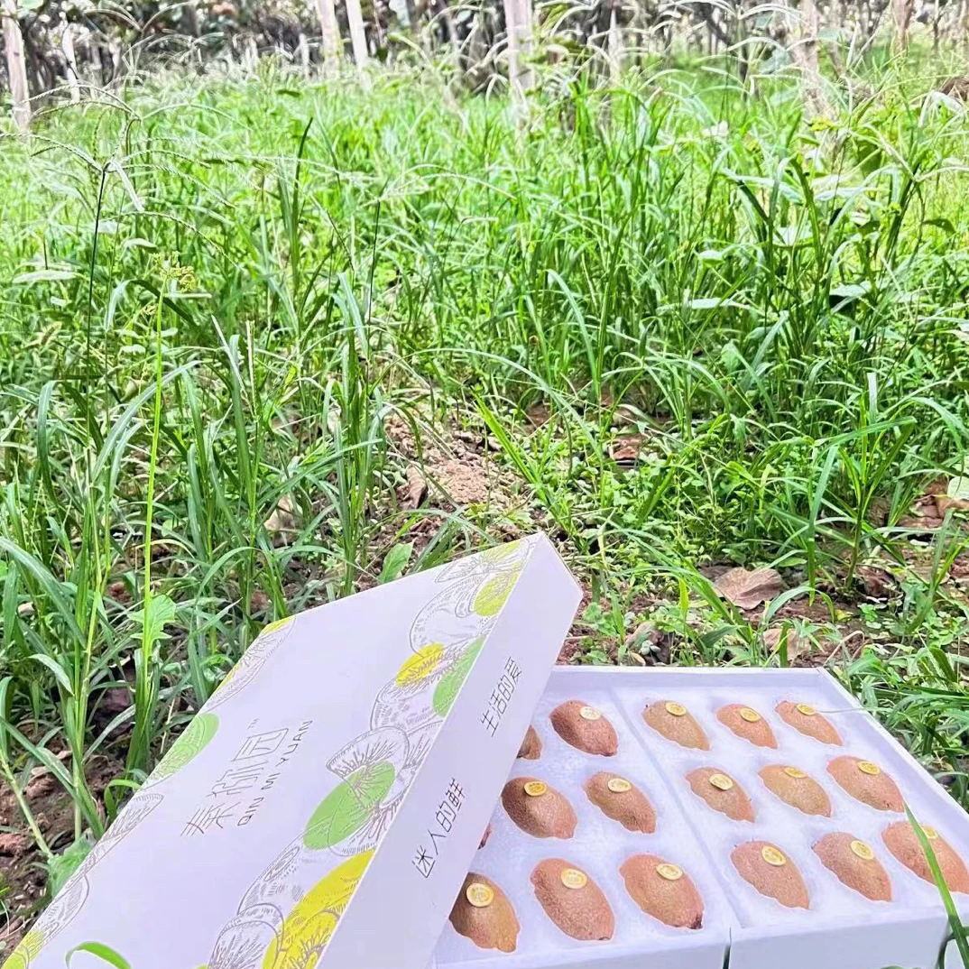 〔高端礼盒〕眉县徐香猕猴桃（单果90-110克）产地直发 坏果包赔