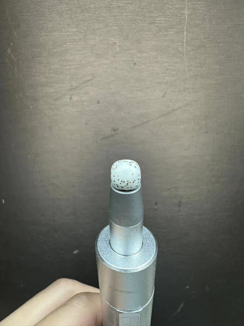 海南原生态星月菩提