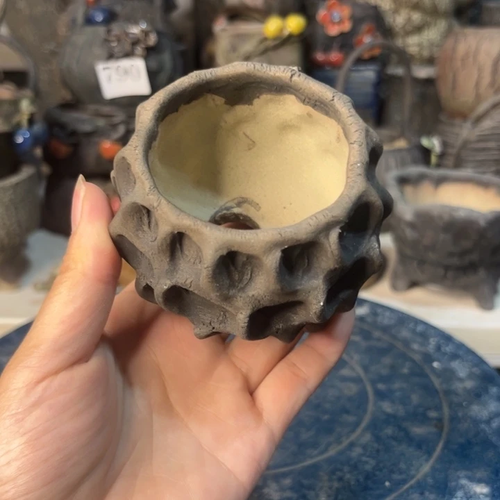 红陶20CM以下咕****了一个