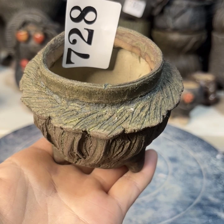 红陶20CM以下乐*游一个