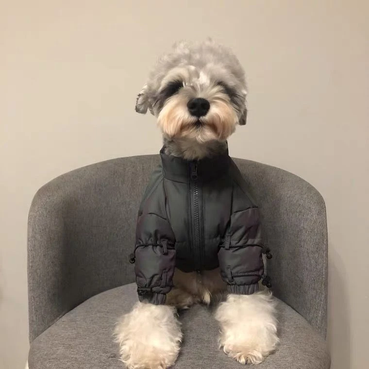 狗狗猫咪潮牌衣服雪纳瑞泰迪比熊法斗柴中小型犬潮秋冬季保暖外套