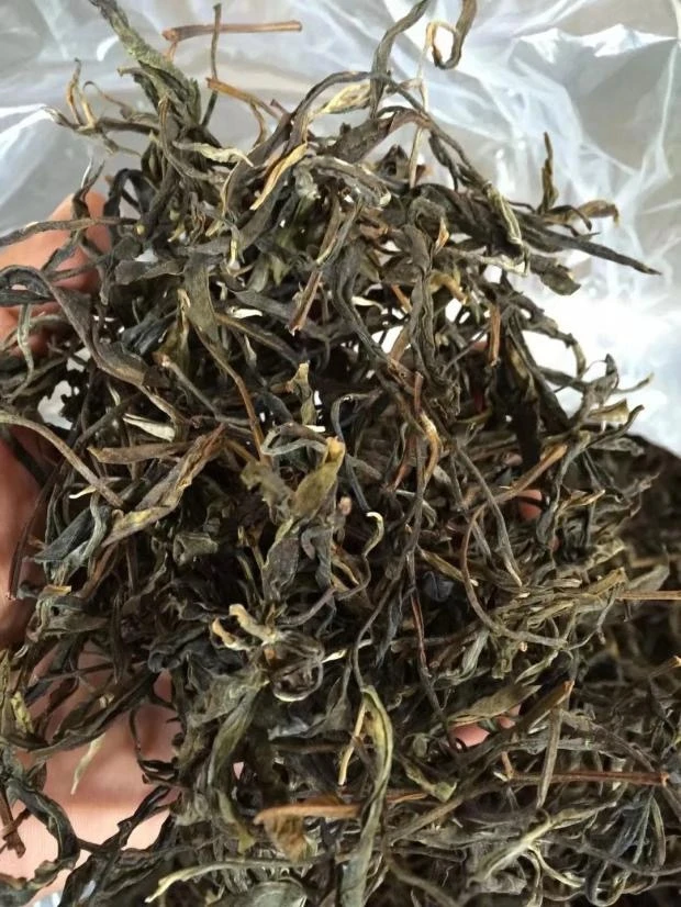 曼松古树生茶 100克装