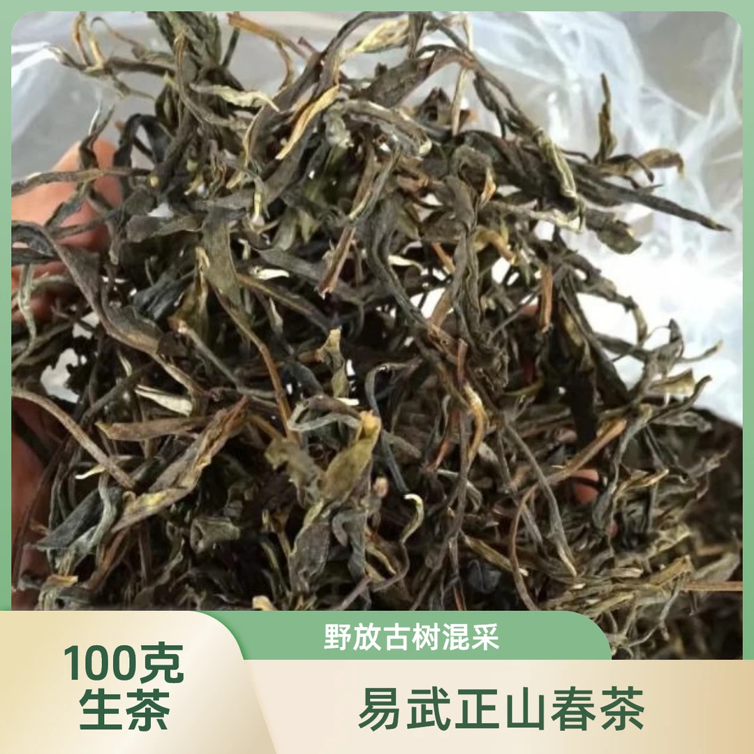 易武茶 正山古树生茶 2020年春茶 100克装