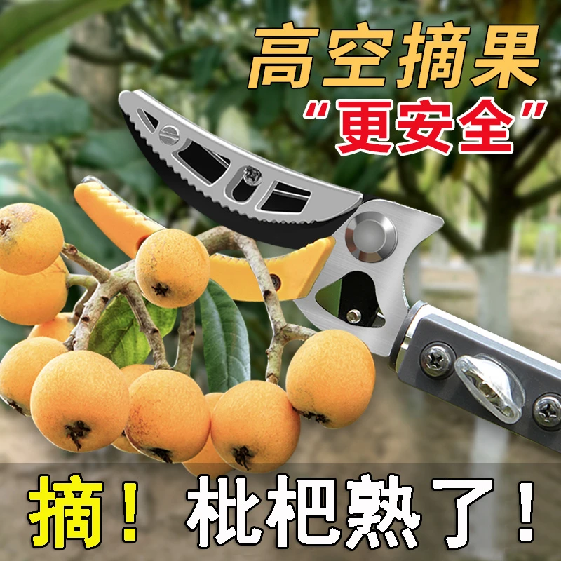 摘枇杷神器可伸缩剪刀高枝剪摘果神器高空采摘果剪香椿摘果器槐花
