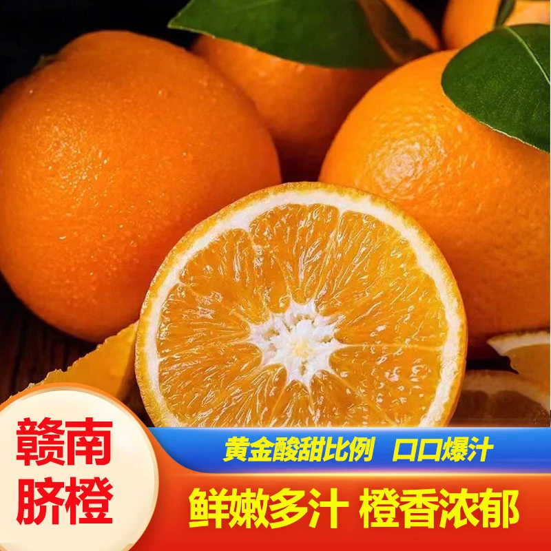 赣南脐橙4.5斤正宗江西橙子新鲜采摘  橙香浓郁多汁 产地直发