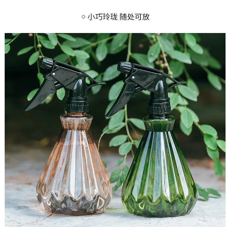 浇花小喷壶消毒喷雾园艺多肉浇花塑料喷壶家用小型喷雾瓶压力喷壶