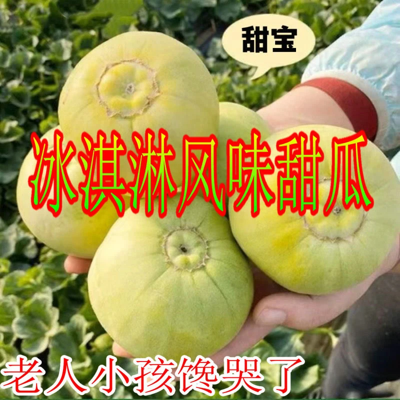 【顺丰包邮】苏北甜瓜白皮小香瓜新鲜水果脆瓜梨瓜白糖罐蜜瓜