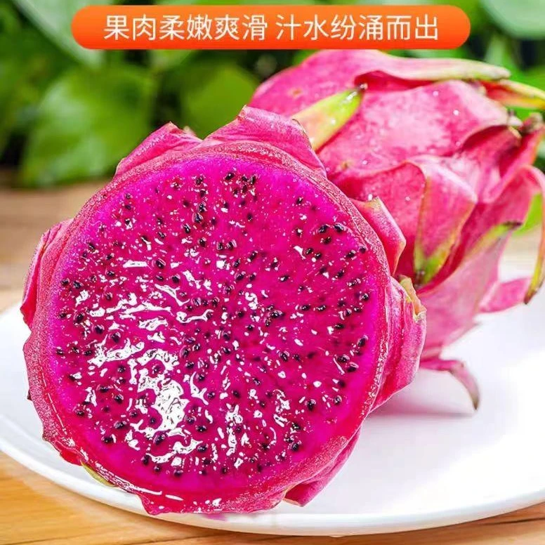【带箱10斤】W红心火龙果新鲜香甜多汁中果250克起净重9斤整箱发货