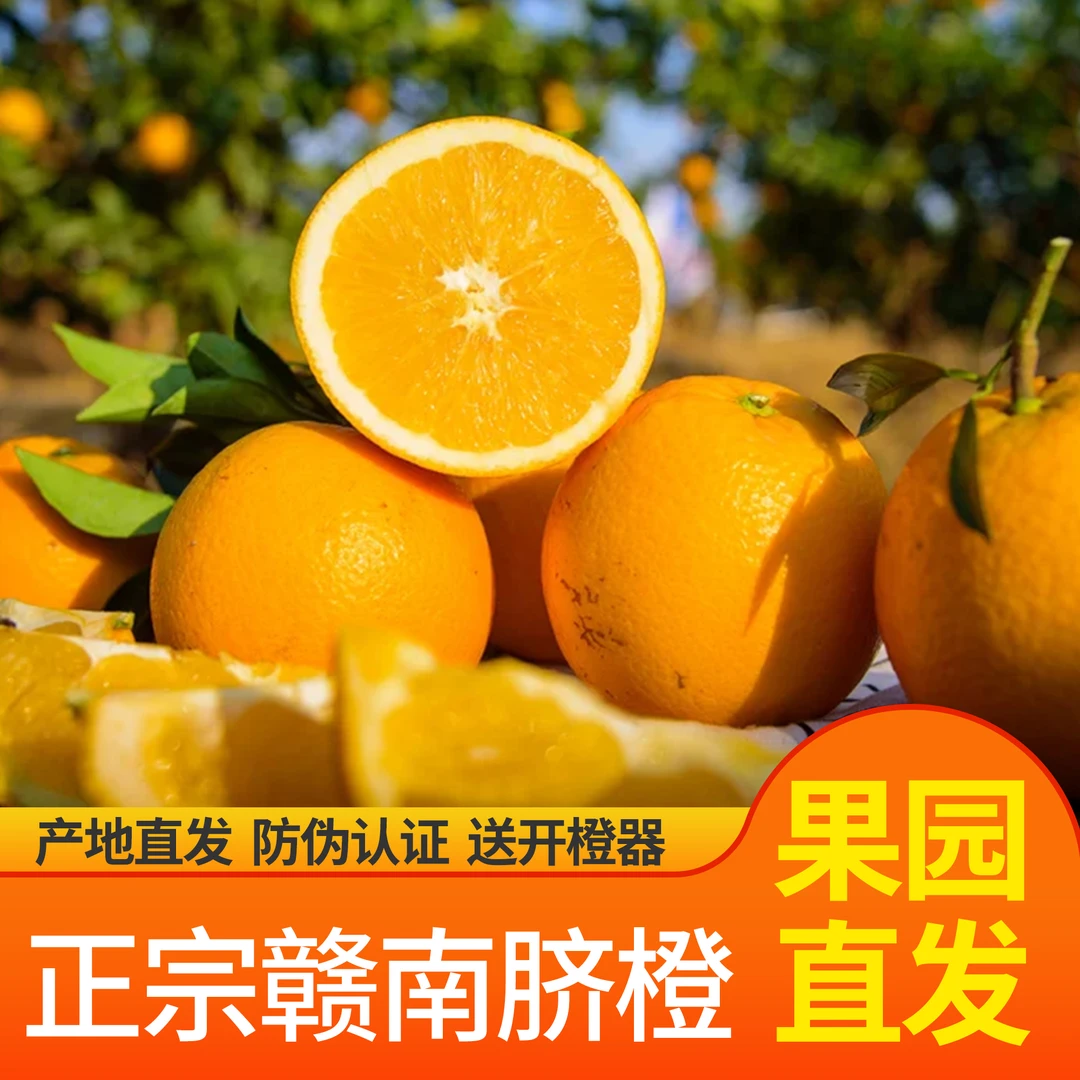 现摘赣南脐橙20斤装正宗江西赣州信丰果园直发不催熟香甜应季水果