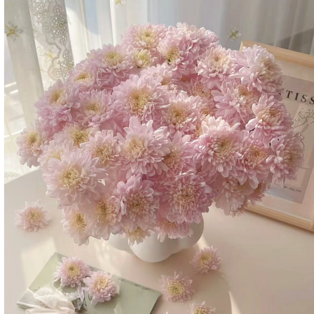 【陌上花开】奢香夫人-稀有小菊