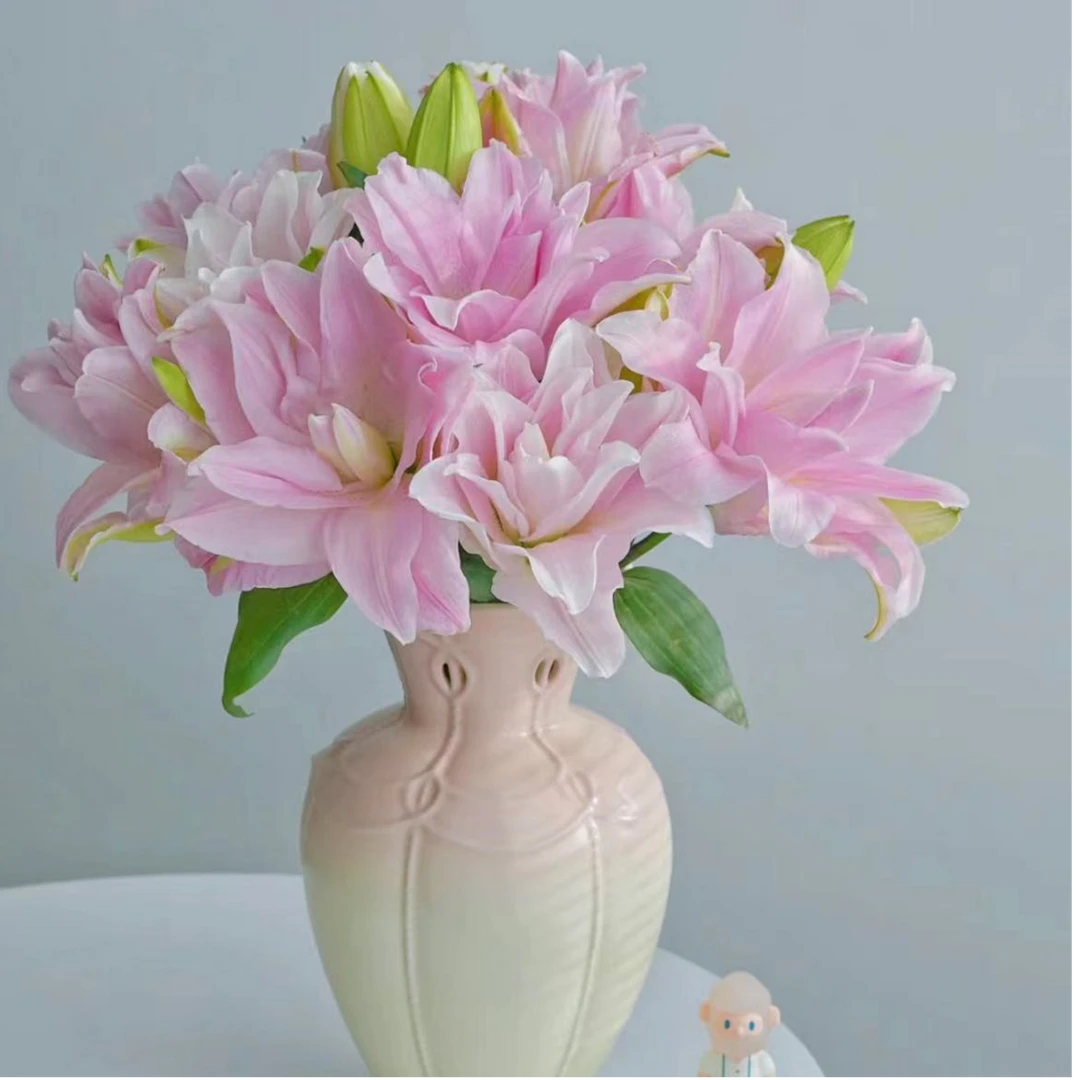 【陌上花开】两头贵妃-百合