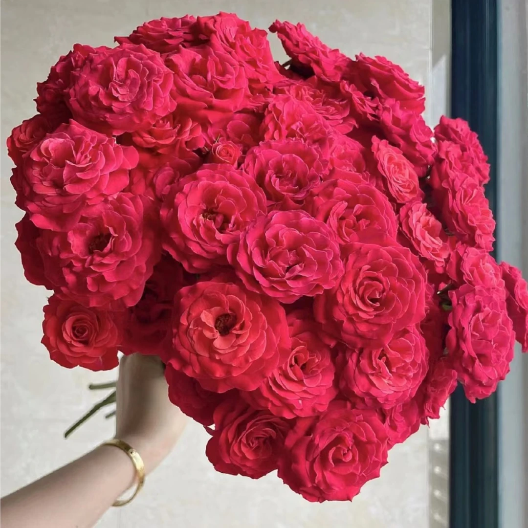 【陌上花开】优雅公主-多头玫瑰