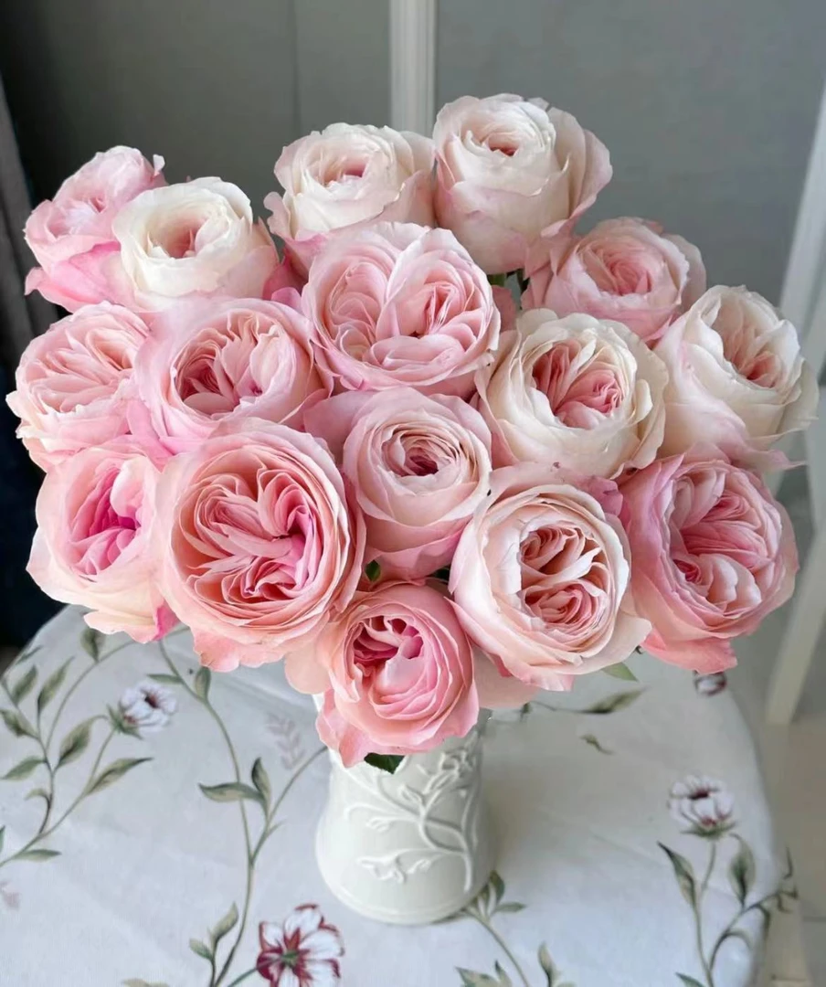 【陌上花开】AA凯瑟琳-单头玫瑰